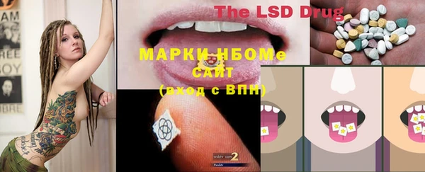 прущие грибы Аркадак