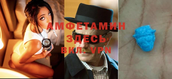 прущие грибы Аркадак