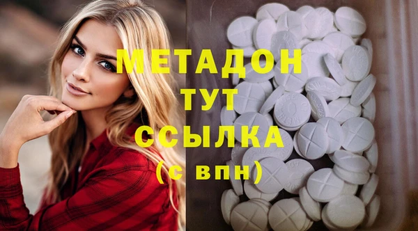 прущие грибы Аркадак