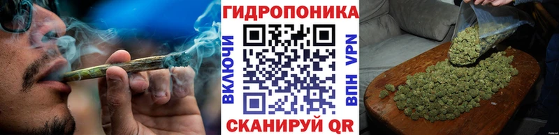 Бошки Шишки семена  Артёмовский 